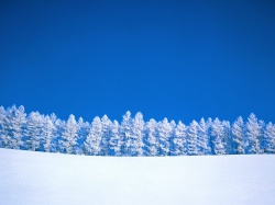 Картинки природа зима
